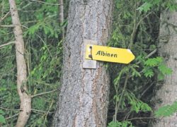 „Nicht tatenlos zusehen, wie unser Dorf ausstirbt“ Albien