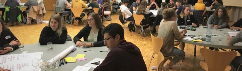 Participation vivante …. ou comment le label a fait bouger une région Forum des Jeunes Entremont