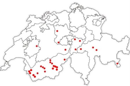 Jugendfreundliche Bergdörfer Labelgemeinden_2025