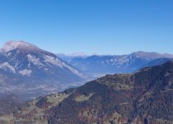 Articolo sul tema città-campagna oplus_0